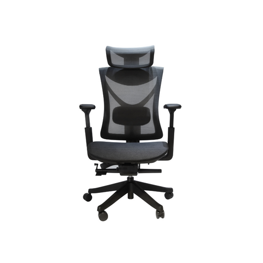 Big and Tall Office Chair with Adjustable lumbar and slide seats ,300LBS, Black