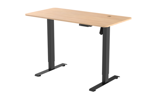 Electrically Standing Desk-S2