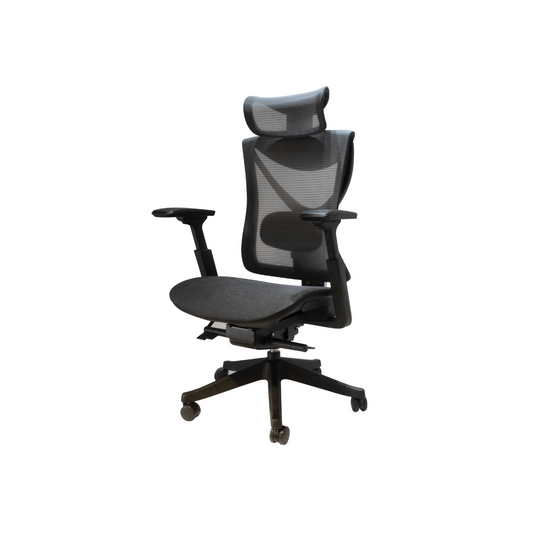 Big and Tall Office Chair with Adjustable lumbar and slide seats ,300LBS, Black