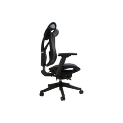 Big and Tall Office Chair with Adjustable lumbar and slide seats ,300LBS, Black