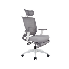 Foldable Ergonomic Office Chair with Footrest, High Back Computer Chair with 2D Headrest, Mesh Back, Sponge Seat, Adjustable Lumbar Support, 2D Armrest, Home Office Desk Chair